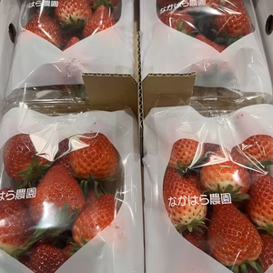 佐賀県産☆いちごさん