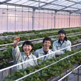 加藤博健 | KANSOテクノス河南いちご農場