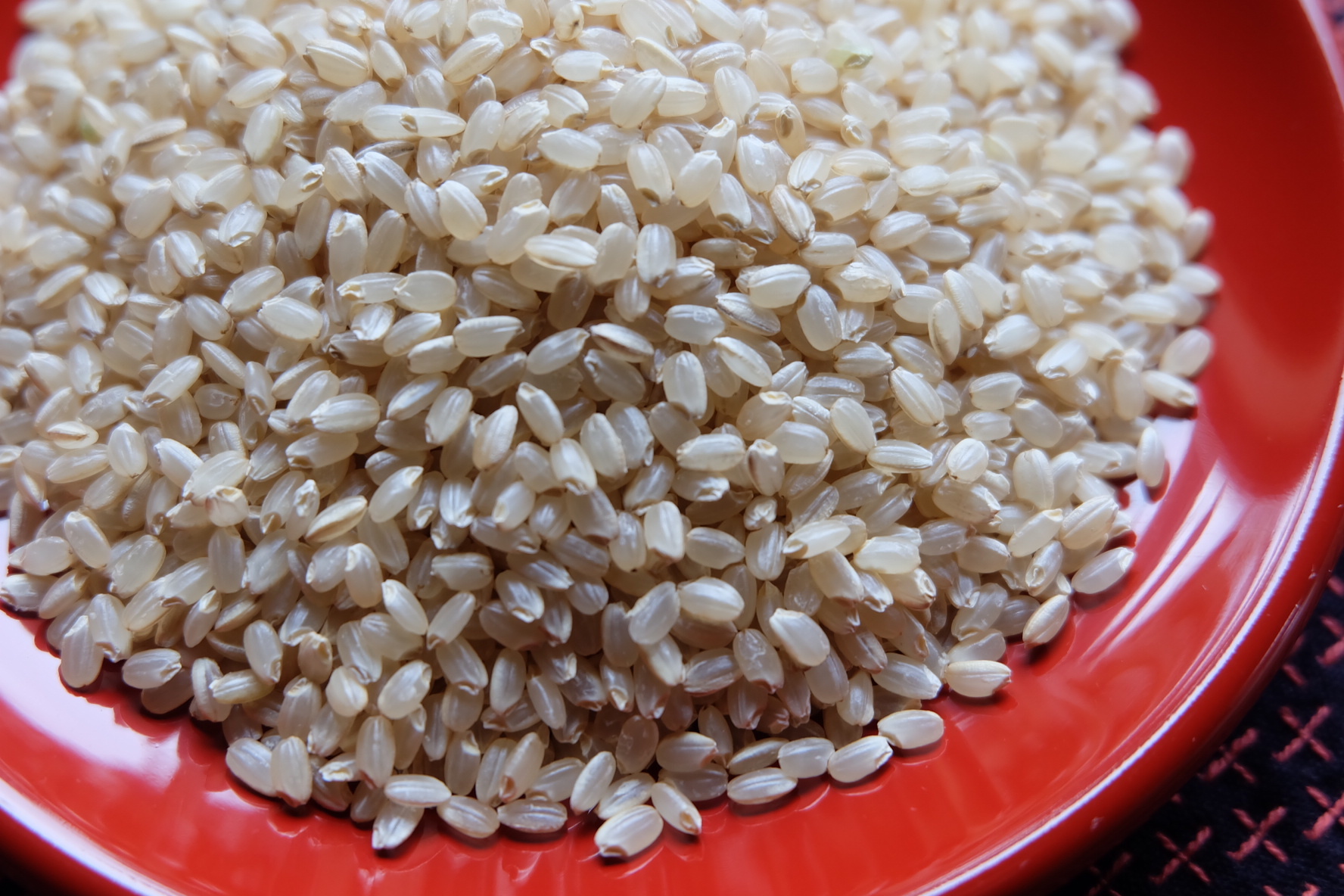送料無料】新米 玄米24kg 有機栽培 無農薬 天日干し R6年 特別