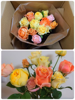 みんなの投稿の画像