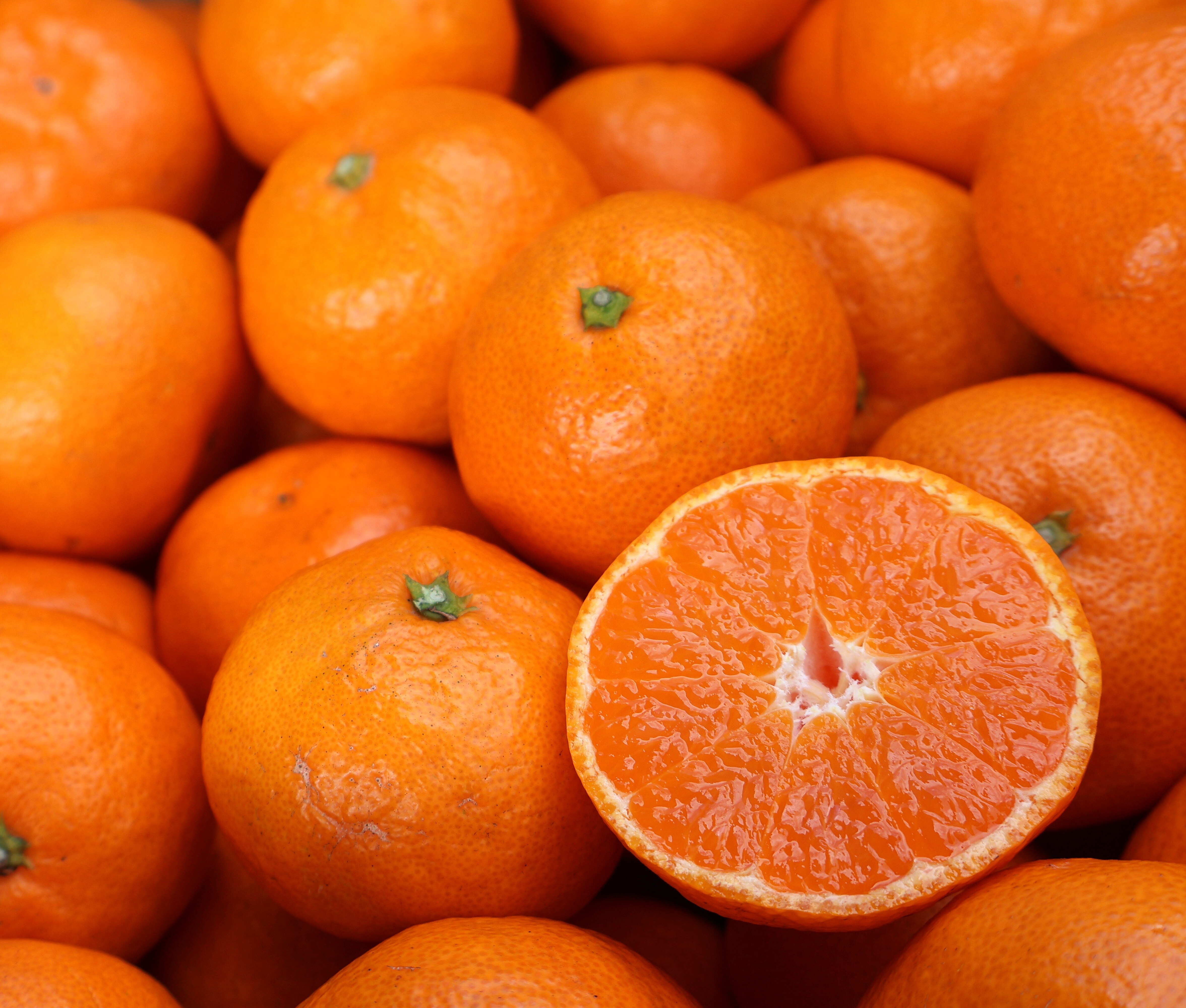 農家直送!有田みかん2kg〜≪Lサイズ 秀品≫[平武農園] Lサイズ(2kg)