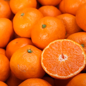 農家直送！有田みかん2㎏～≪Lサイズ 秀品≫【平武農園】