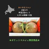 【北海道産】おいわけメロン　糖度16度以上　中玉　１．５キロ前後×２玉
