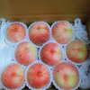 朝採りの樹上完熟・小布施町のみずみずしい桃　自家用３キロ