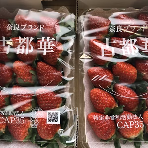奈良県産いちご『古都華』2パック