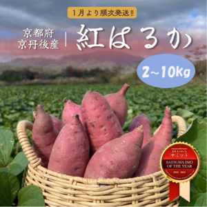 【京丹後産】日本一に輝いた紅はるか 2ヶ月以上熟成!!