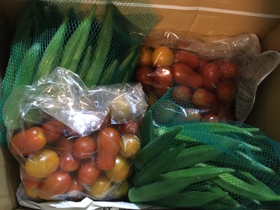 みんなの投稿の画像