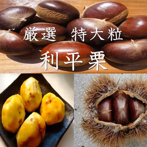【厳選　特大粒】 利平栗　農薬不使用　