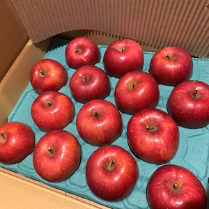 【信州飯綱産 サンふじ】絶妙な甘みと酸味のバランス