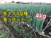 【食べ比べ】長ネギ4品種セット　4kg  茨城県産
