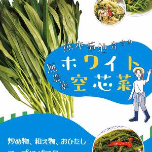 「ホワイト空心菜」で食卓に彩りを！ 【１００ｇ×１５袋】