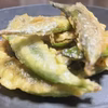 ☆有機JAS認証☆スナップえんどう１kg