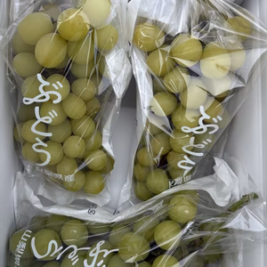 今季最終！残り僅かも、長い房で完熟のとても甘くて美味しい❗️シャインマスカット