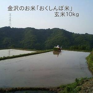 金沢のお米「おくしんぼ米」玄米１０ｋｇ【R１年産】コシヒカリ