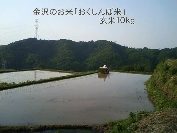 金沢のお米「おくしんぼ米」玄米１０ｋｇ【R2年産】コシヒカリ