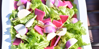 生産者直送のこだわり食材でBBQはいかがですか？