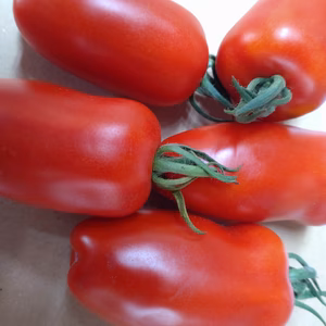 【同梱専用】美農然お野菜にくっつけて使う○○