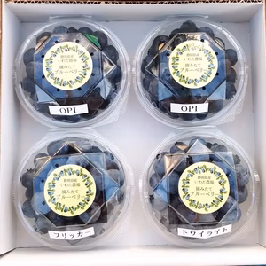 5月発送分販売☆生果実ブルーベリー3品種食べ比べパック 400ｇ