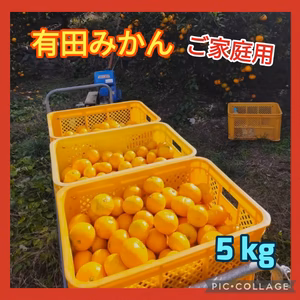 有田みかん　ご家庭用　5kg(箱込)送料無料80