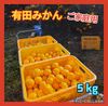 有田みかん　ご家庭用　5kg(箱込)送料無料80