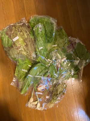 みんなの投稿の画像