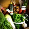 いんげんたっぷり野菜BOX Sサイズ農薬.化学肥料不使用
