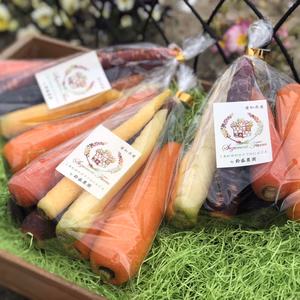 鈴盛農園 しあわせのカラフルにんじん 3パックセット
