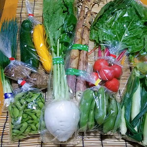 【3セット限定】野菜・五三竹セット～筍ほり名人のおすそ分け野菜７種類～