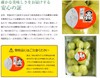 【ご自宅用】桃太郎ぶどう※クール冷蔵便