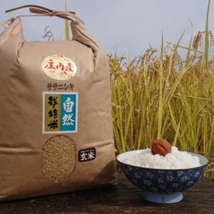 お米の旨味たっぷり自然栽培 ２年産【ササニシキ玄米】５kg