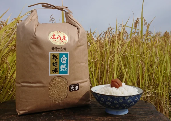 お米の旨味たっぷり自然栽培 ２年産【ササニシキ玄米】５kg