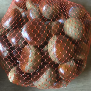 【最終】1kg 大きさ色々 新鮮な栗