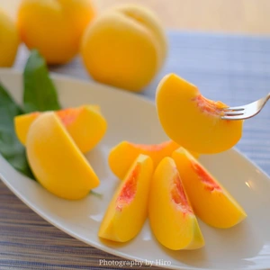 8月~ まるで南国フルーツの様な味わい【黄金桃】家庭用 5~9玉 1.5kg