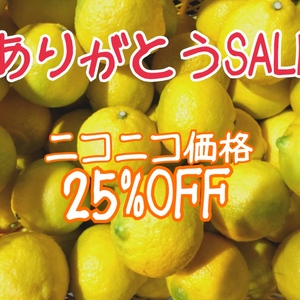 大感謝祭★幸せを運ぶ黄色い柑橘『はるか』10キロ ニコニコ価格25%OFF！