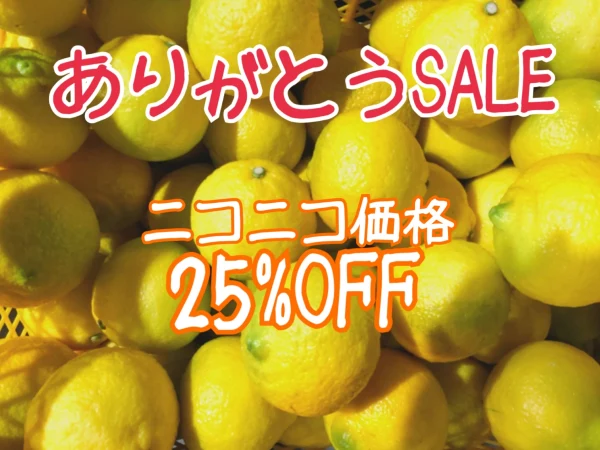 大感謝祭★幸せを運ぶ黄色い柑橘『はるか』10キロ ニコニコ価格25%OFF！