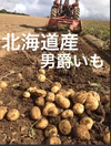 ホックホク‼️北海道産男爵いも5kg•10kg
