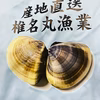 九十九里地はまぐり　中〜大サイズ　約8個〜14個　千葉県ブランド水産物認定品