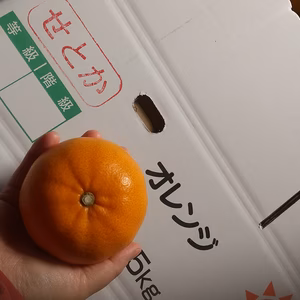 愛媛県西宇和産 BIGせとか 3L～ 5kg・10kg