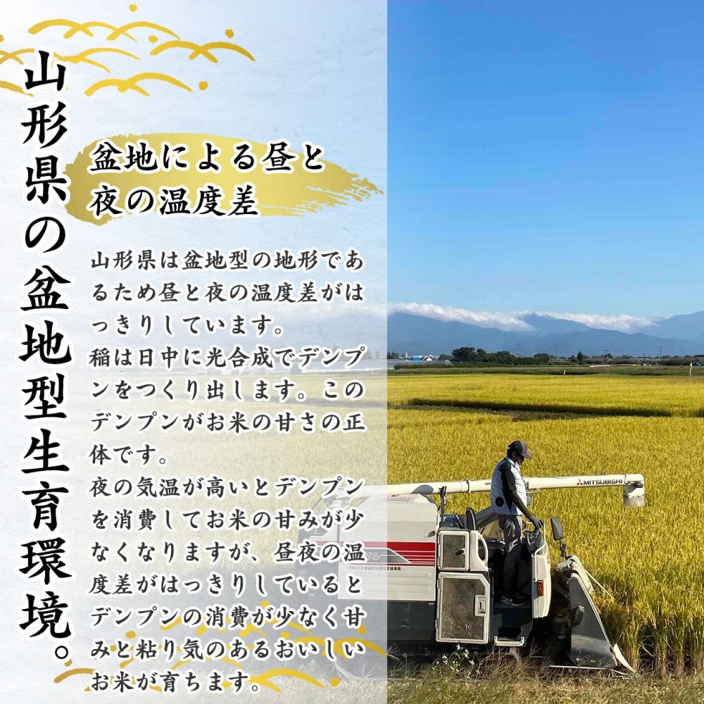 【送料無料】令和5年産 山形県産 はえぬき・つや姫玄米セット 計9kg