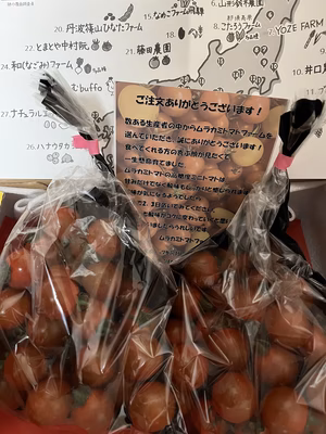 みんなの投稿の画像