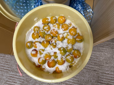 みんなの投稿の画像