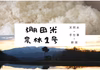 超希少種　農林1号新米5ｋｇ純棚田米　うまい米の産地新潟県一之貝産