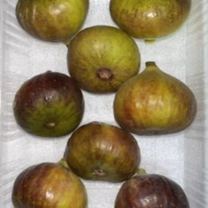 ブリジャソットグリース　1パック8個