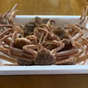 ♢大人気♢【訳あり】本ズワイガニのオス(生で発送)新潟県