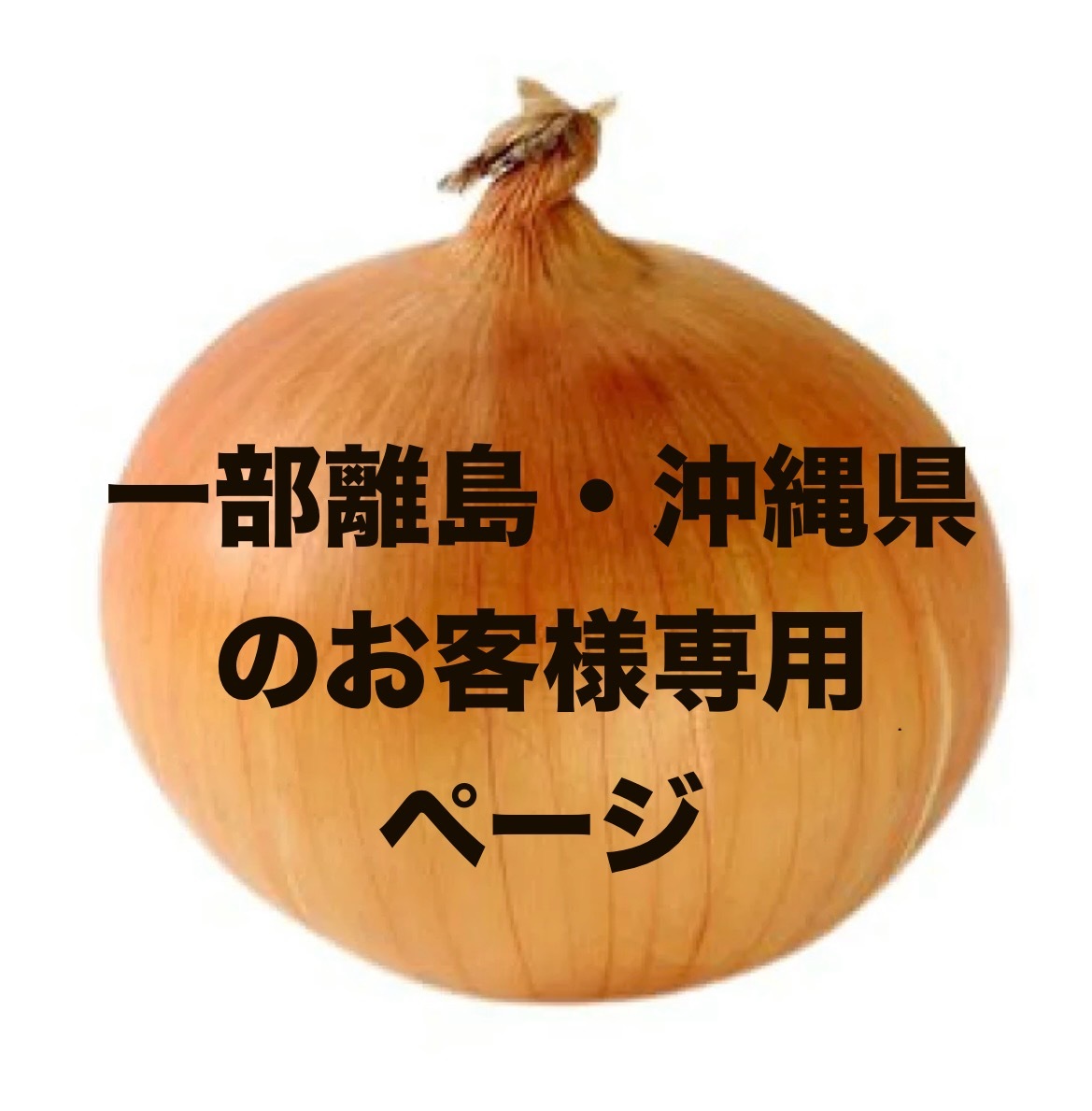 一部離島・沖縄県へ玉ねぎをお届けの方専用 玉ねぎ3キロ