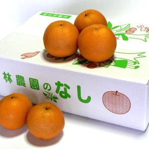 豊水梨（家庭用）　約5kg(12～16玉)　