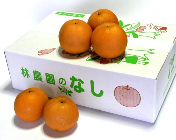 あきづき梨（家庭用）　約5kg(12～16玉)　