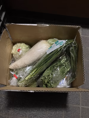 みんなの投稿の画像