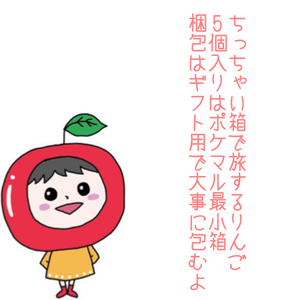 《りんご定期便限定商品》５個入り箱★10月/11月/月2回お届け♬りんご下敷き付