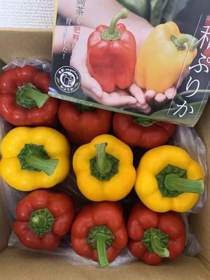 みんなの投稿の画像